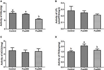 RNA-Seq Analysis Reveals the Potential Molecular Mechanisms of Puerarin on Intramuscular Fat Deposition in Heat-Stressed Beef Cattle